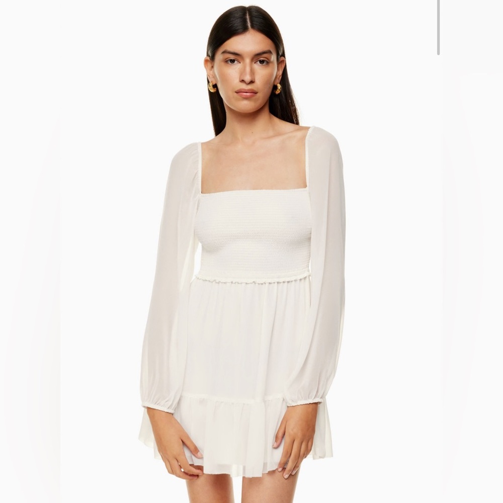 Aritzia Wilfred Tempest Smocked Chiffon Mini Dress MEDIUM milkmaid Cottagecore - Picture 5 of 12